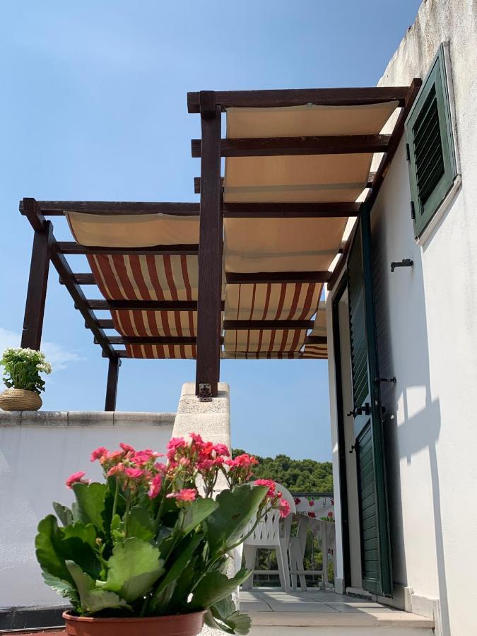 Casa Del Gelso Apartment San Menaio Ngoại thất bức ảnh